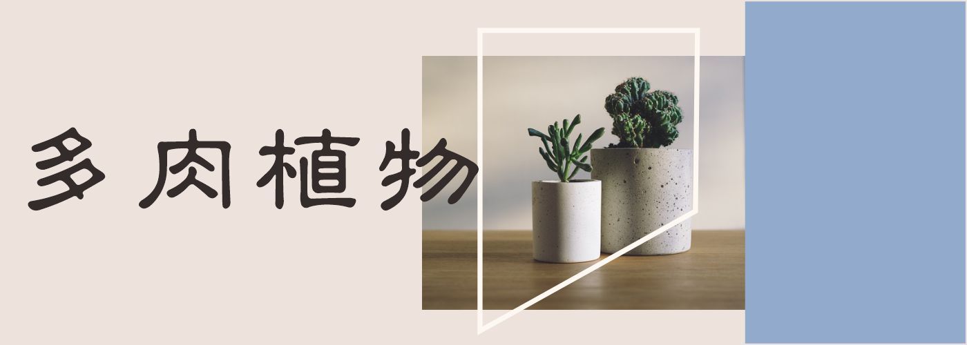 第一商品#
